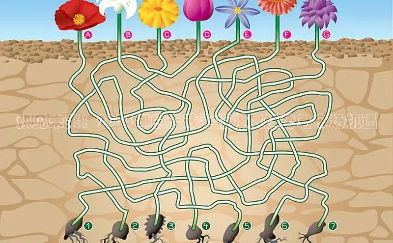 乐虎唯一官方入口